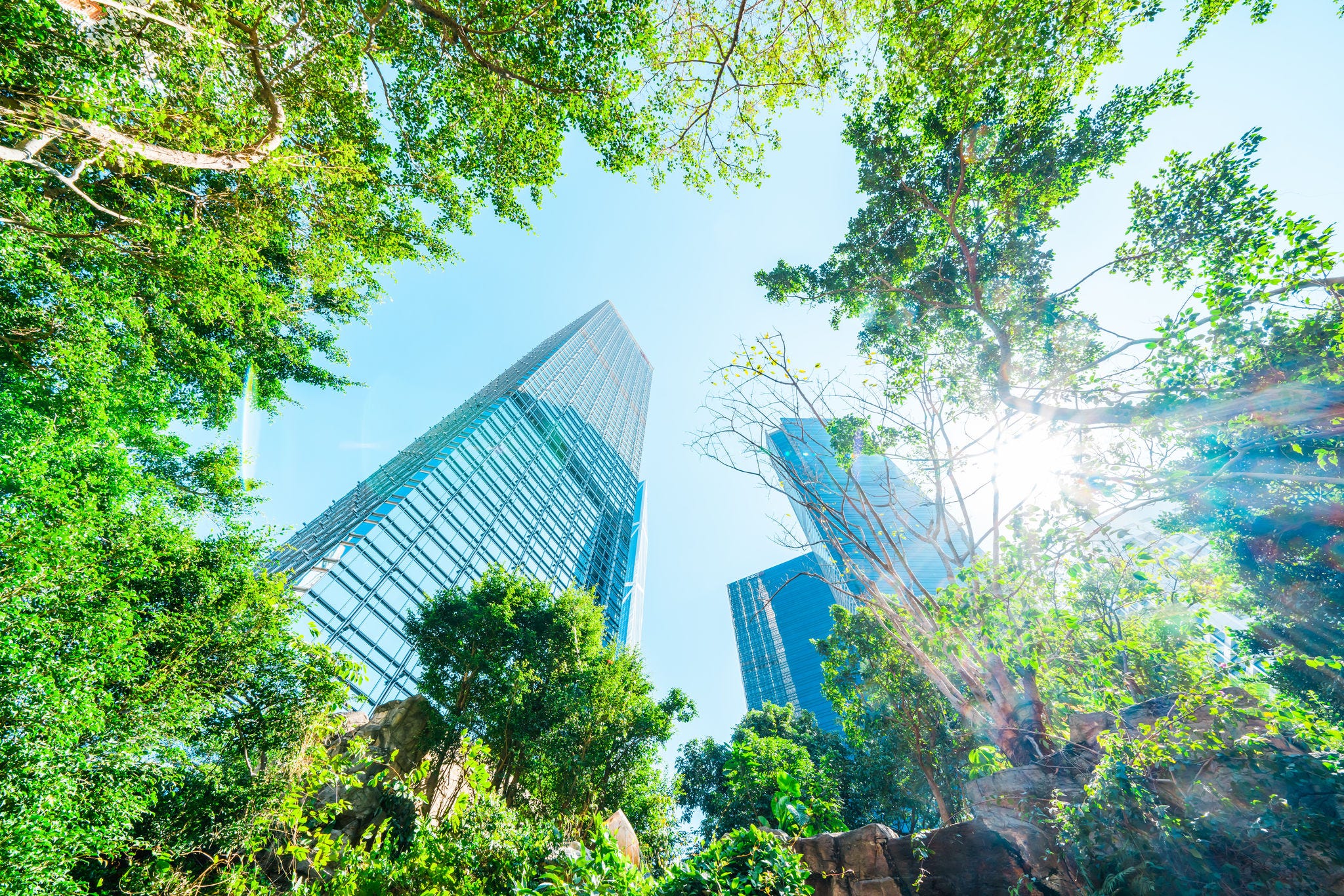 City park with modern building