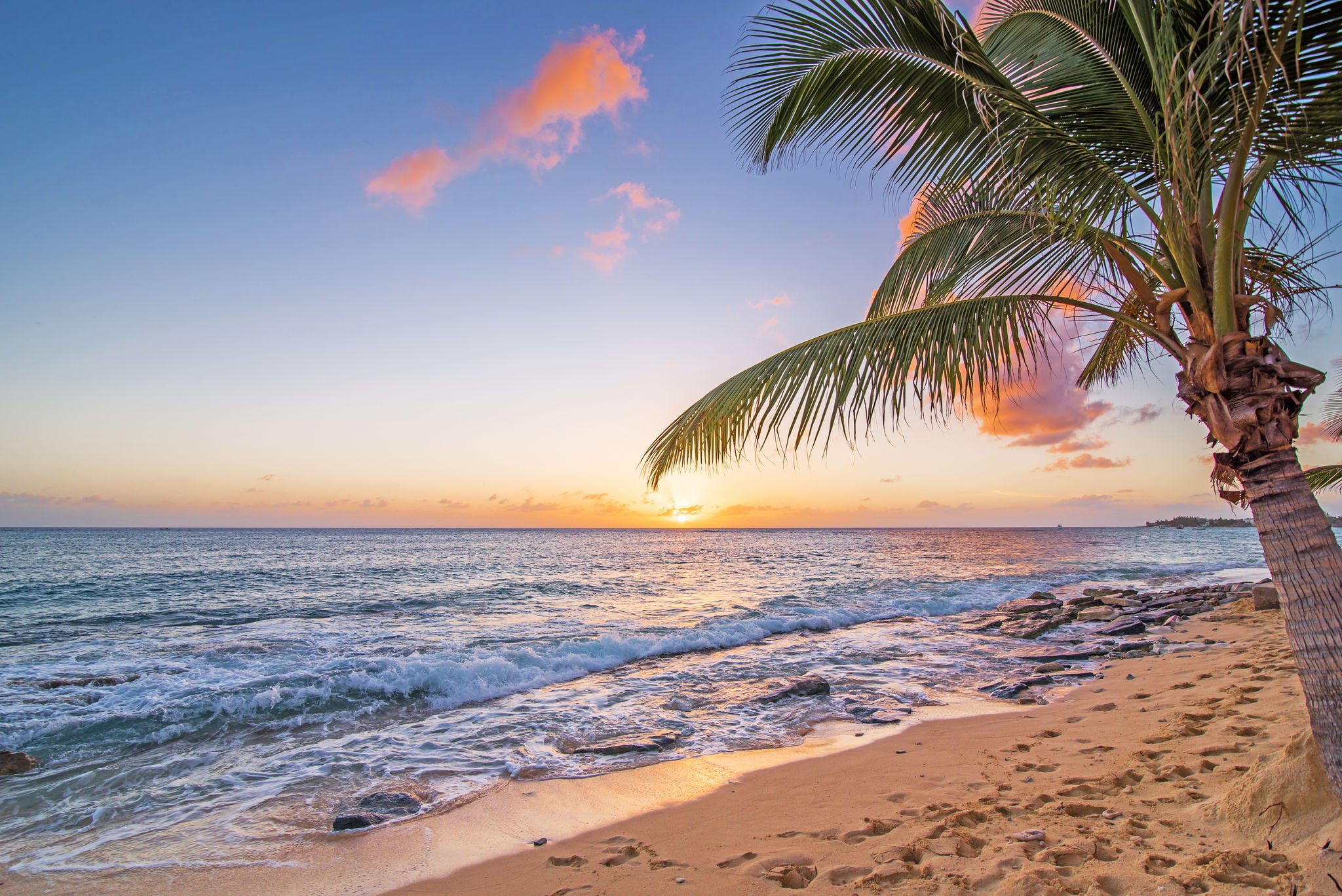 Pink sunset on the beach beach with palm tree, sand and sunset.